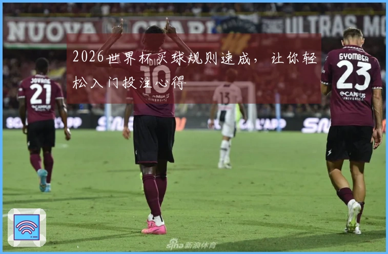 2026世界杯买球规则速成，让你轻松入门投注心得