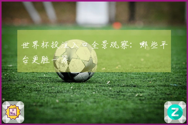 世界杯投注入口全景观察：哪些平台更胜一筹