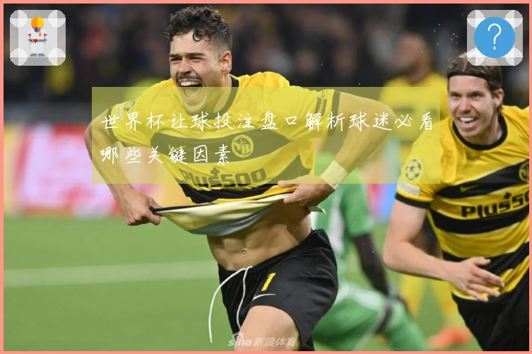 世界杯让球投注盘口解析球迷必看哪些关键因素